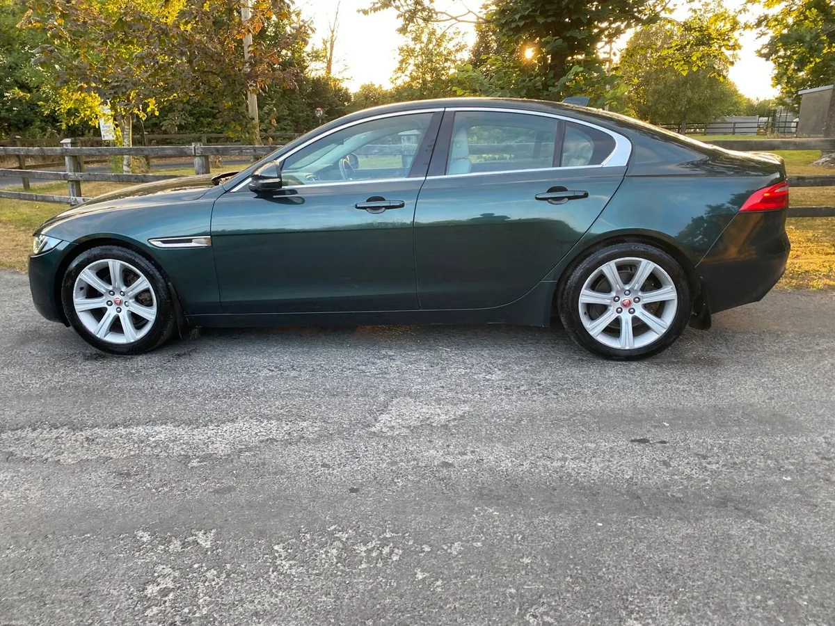 Jaguar - Image 4