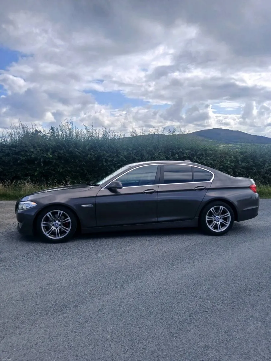 2010 BMW 520d - Image 3