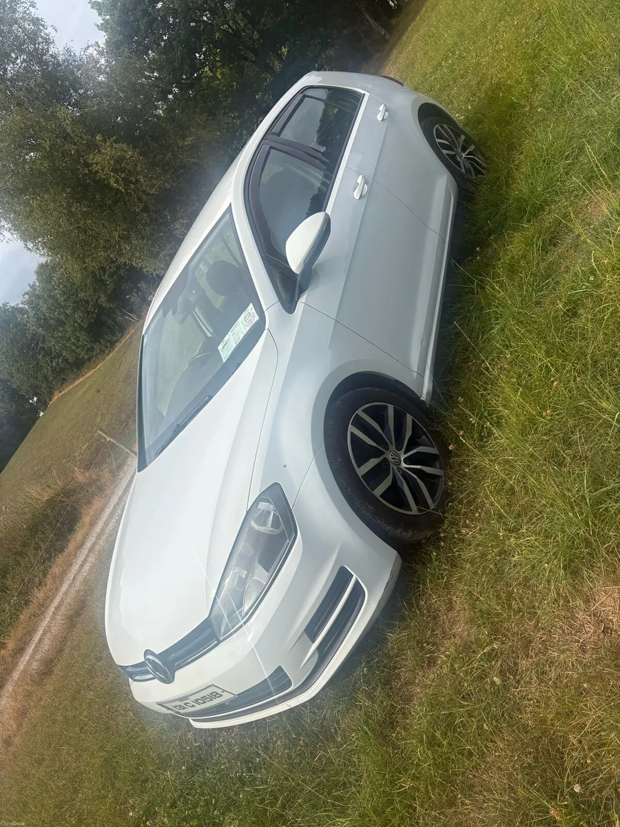 131 Volkswagen Gold - Image 3