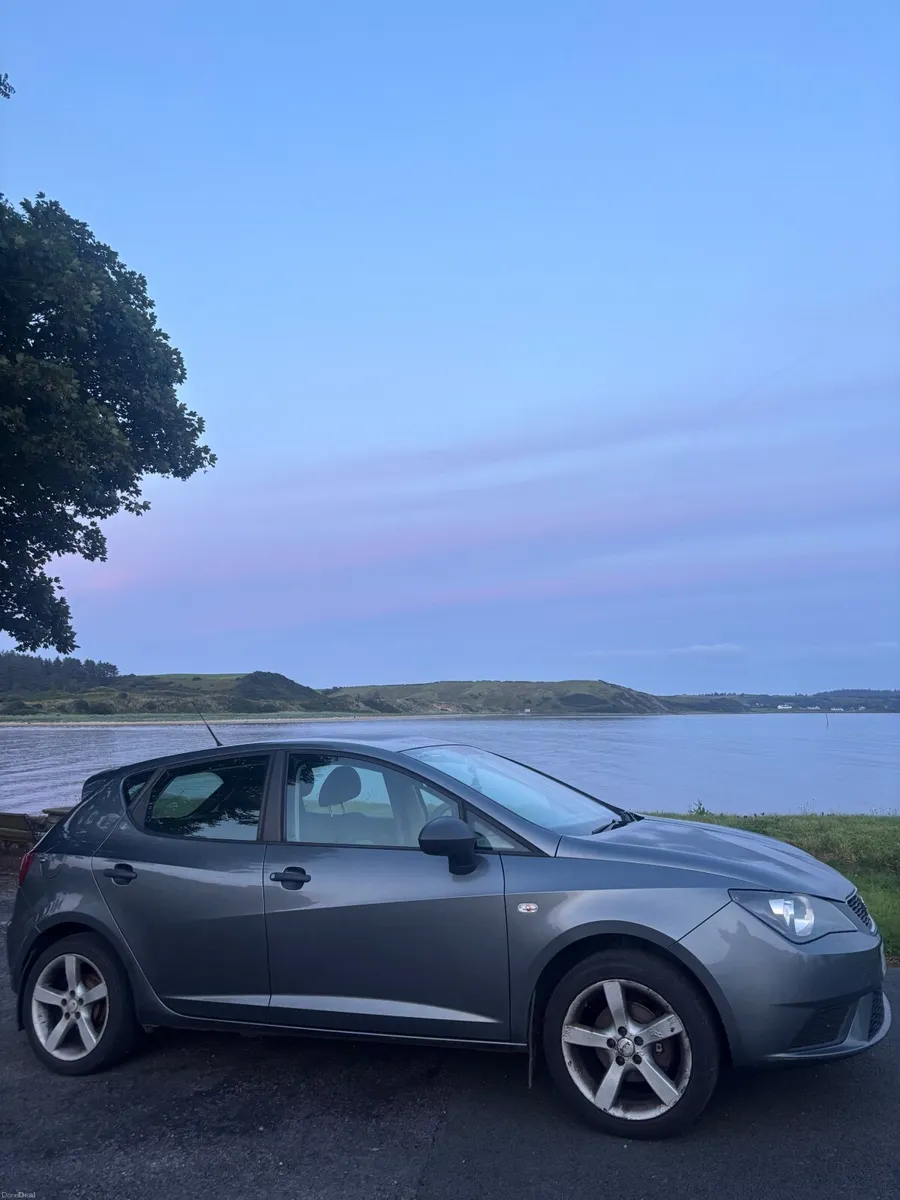 SEAT Ibiza 2013 - Image 1