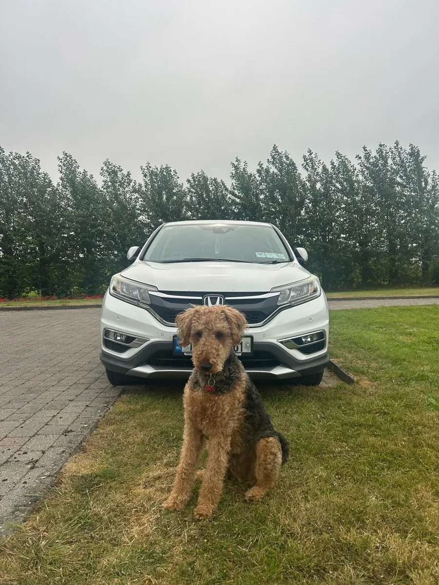 Honda CRV - Image 1