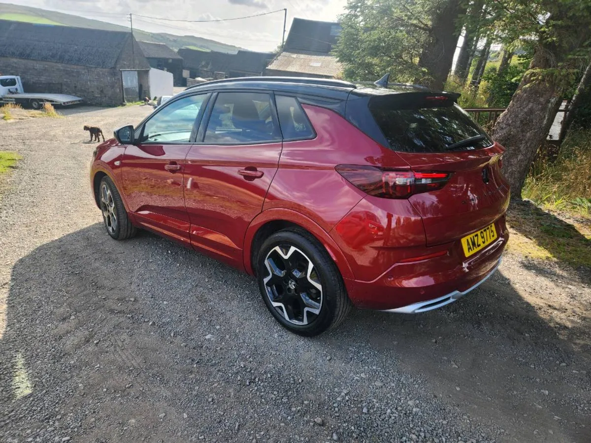 2023 Vauxhall Grandland Ultimate - Image 5