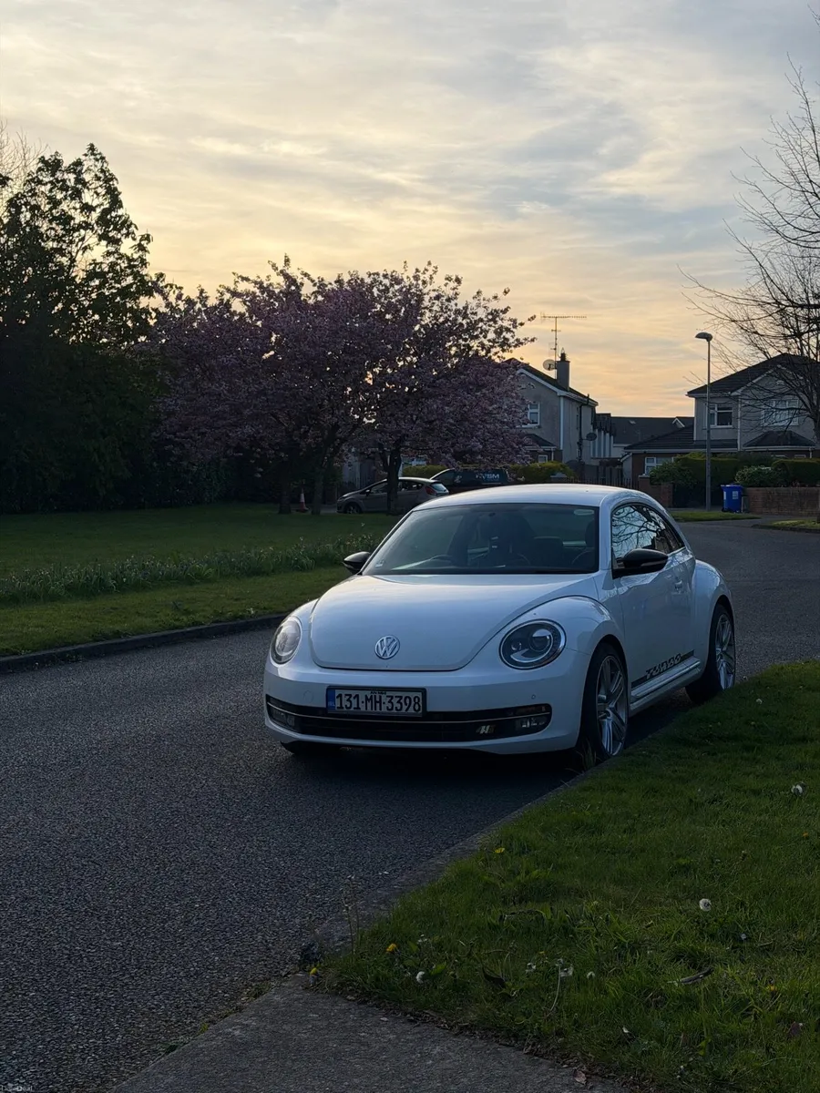 Volkswagen Beetle - Image 2