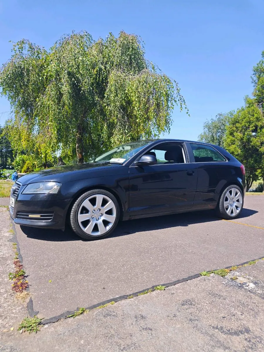 Audi A3 8P 1.9tdi - Image 1