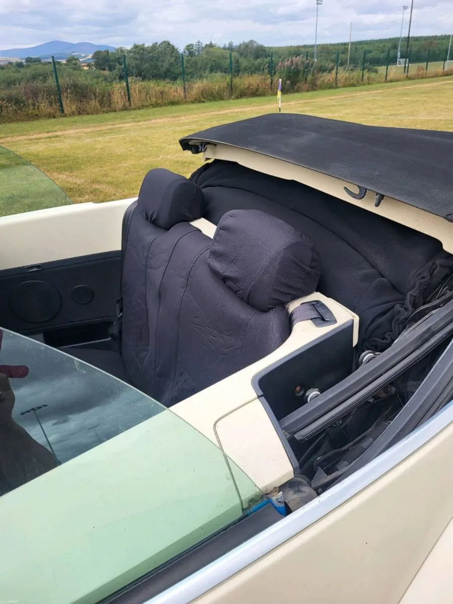 Volkswagen Beetle Convertible - Image 2