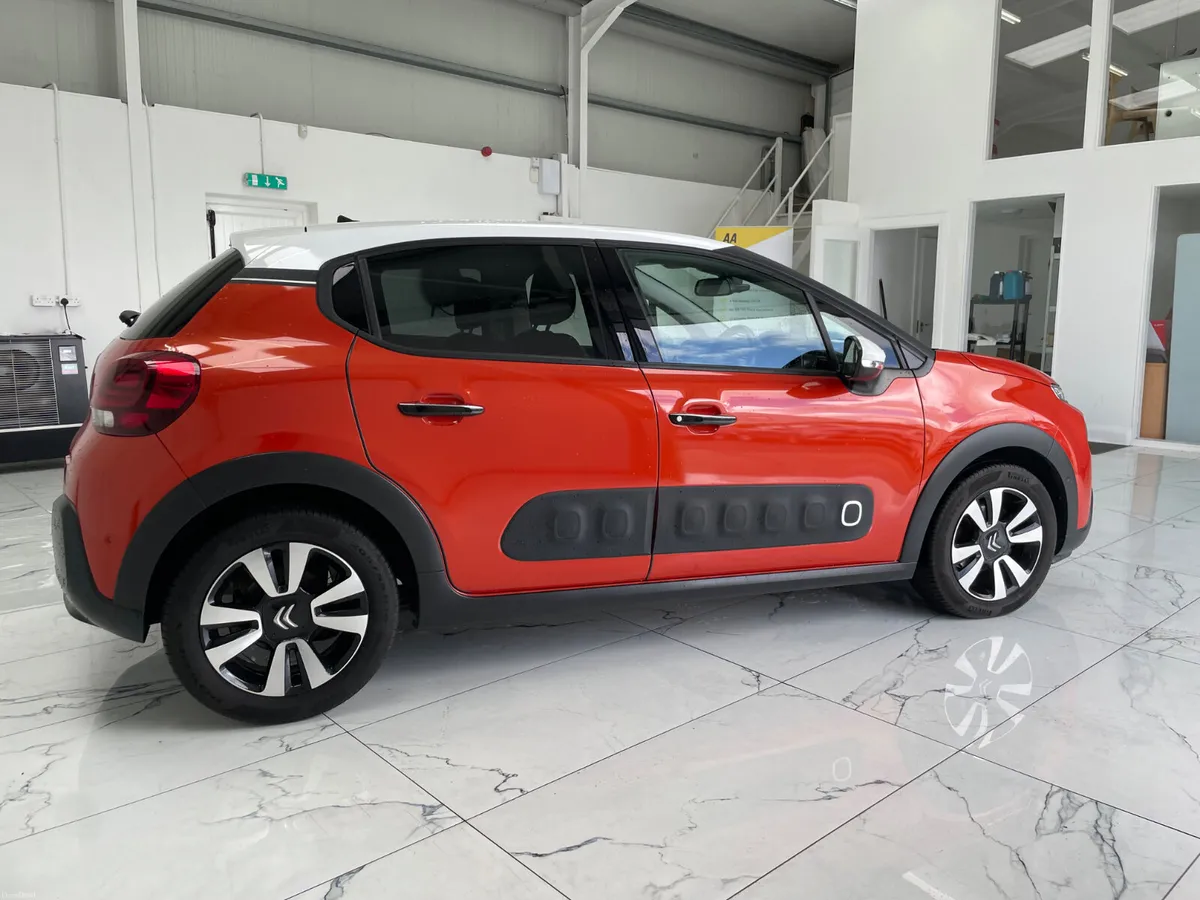 2018 Citrone C3 Shine - Image 3