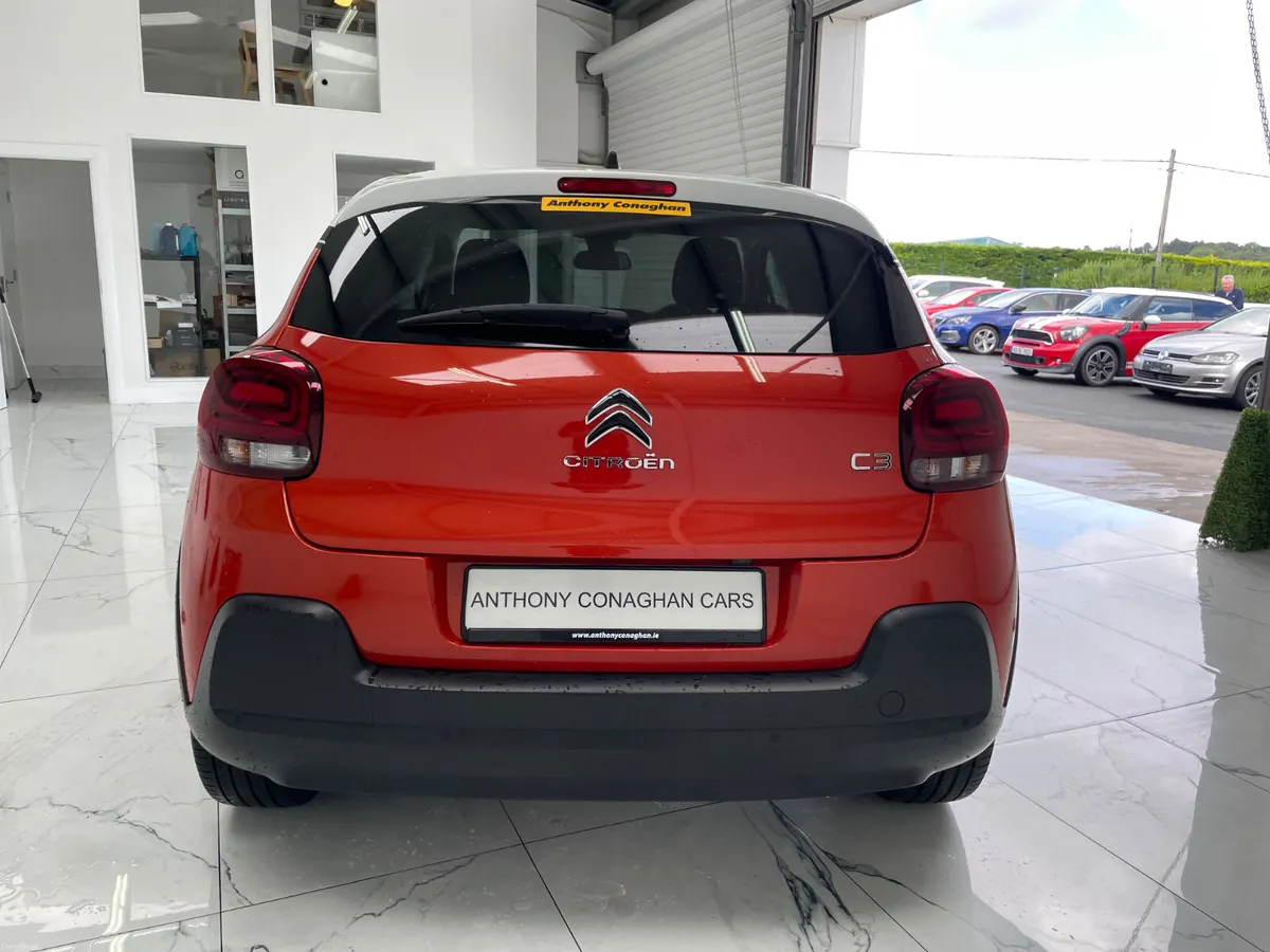 2018 Citrone C3 Shine - Image 5