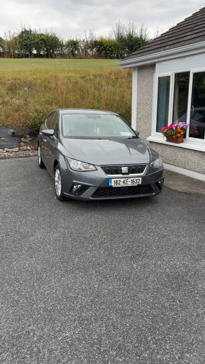 Seat Ibiza - Image 1