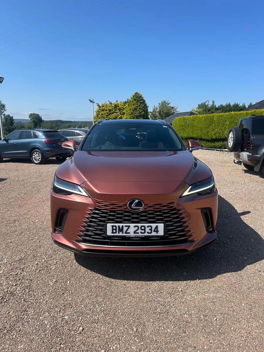 2024 Lexus RX-Series 450h+ 2.5 Takumi 5dr E-CVT - Image 6