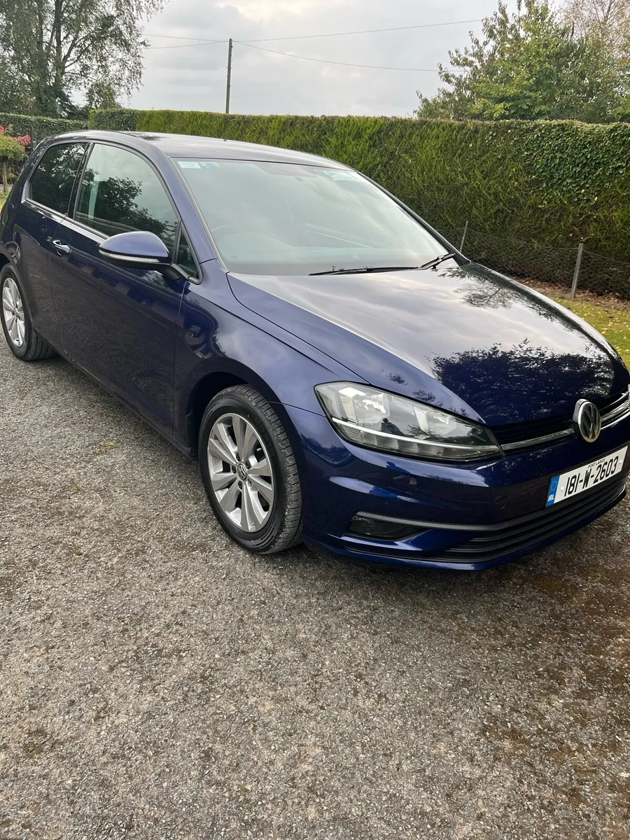 Volkswagen Golf TDI Van - Image 2