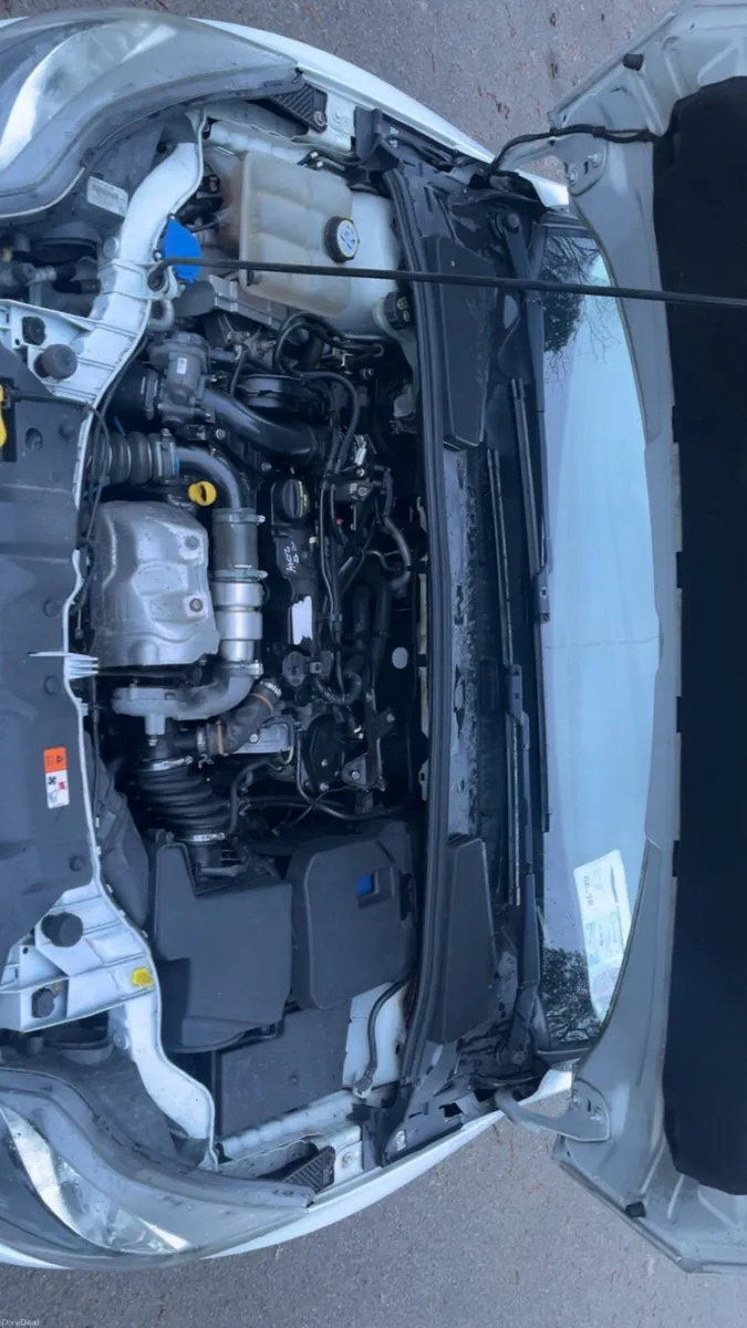 Ford Focus - Image 4