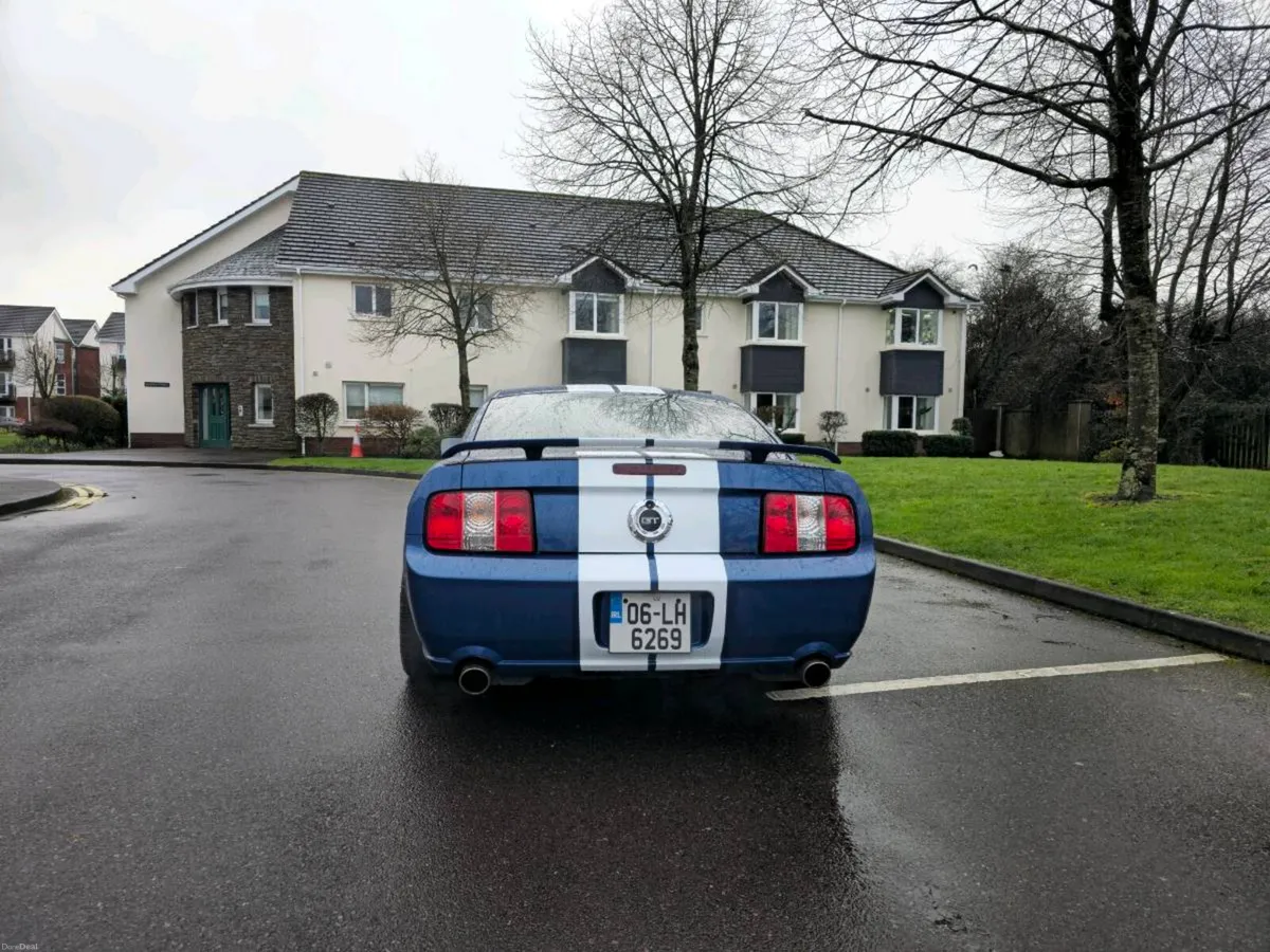 Ford Mustang - Image 6