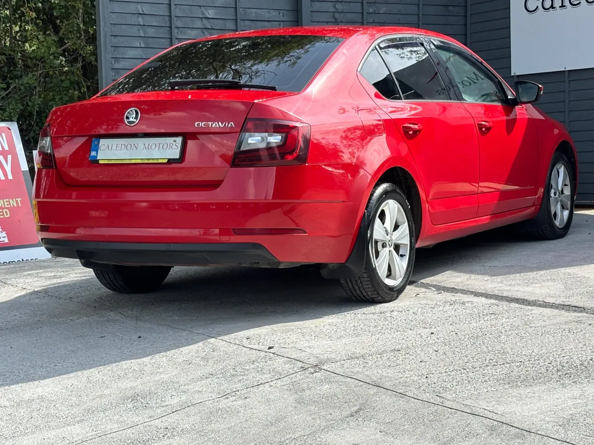 SKODA OCTAVIA- NCT-LOW KM - Image 4