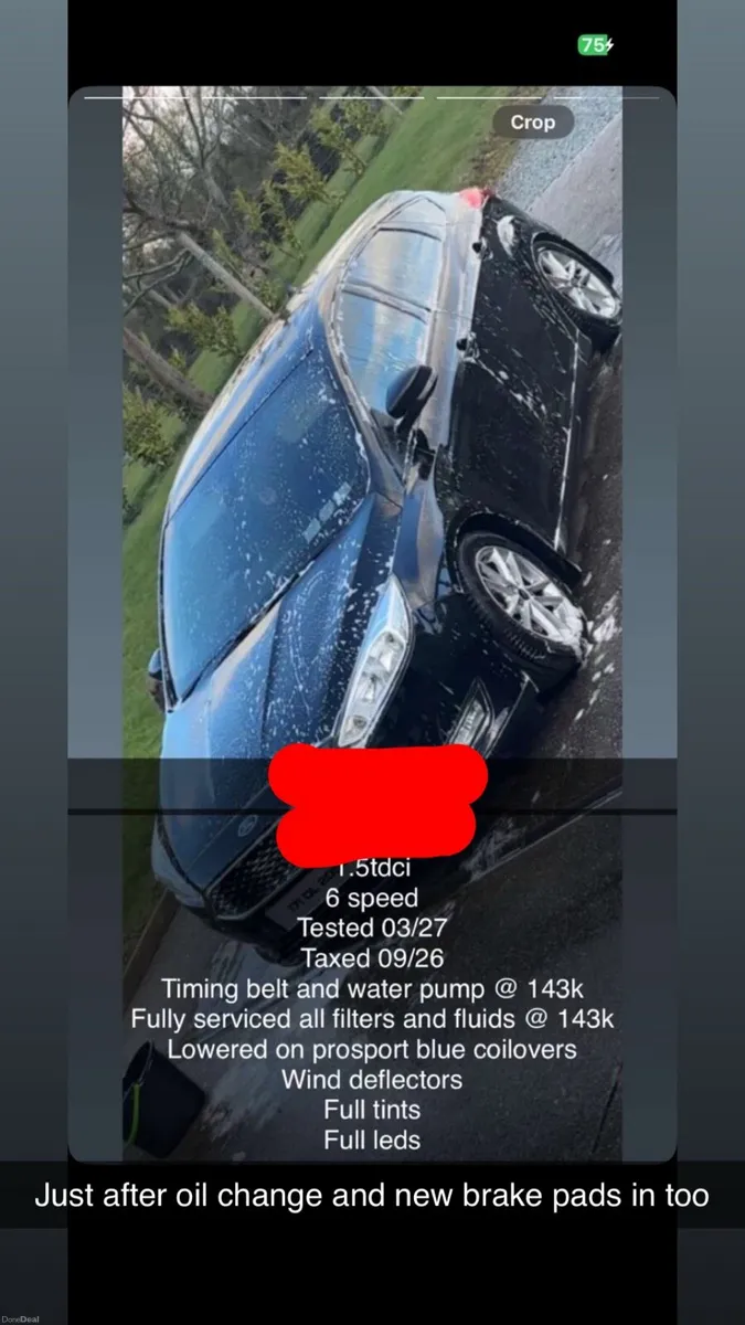 Ford focus - Image 6