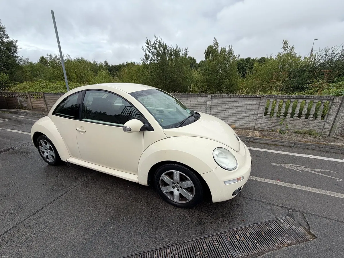 Volkswagen Beetle - Image 3