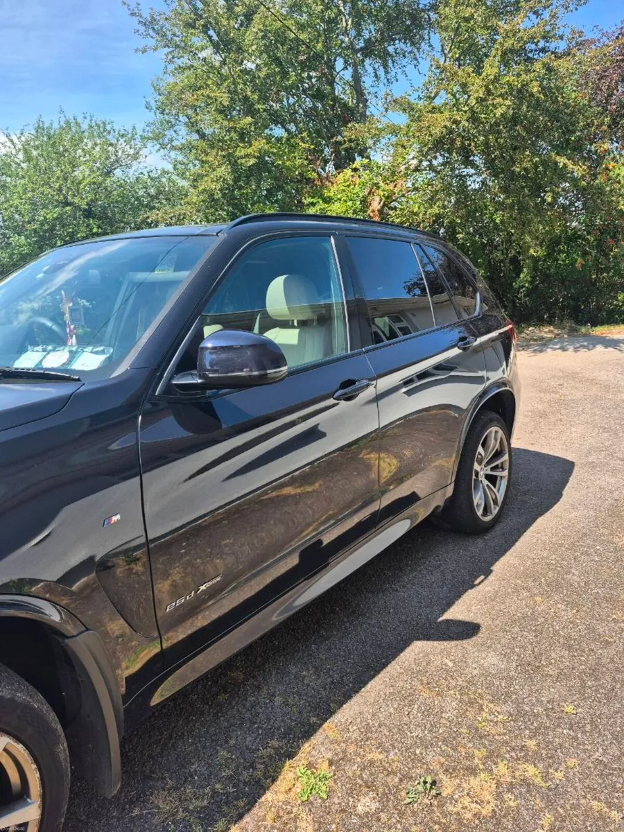 2017 BMW X5 - Image 2