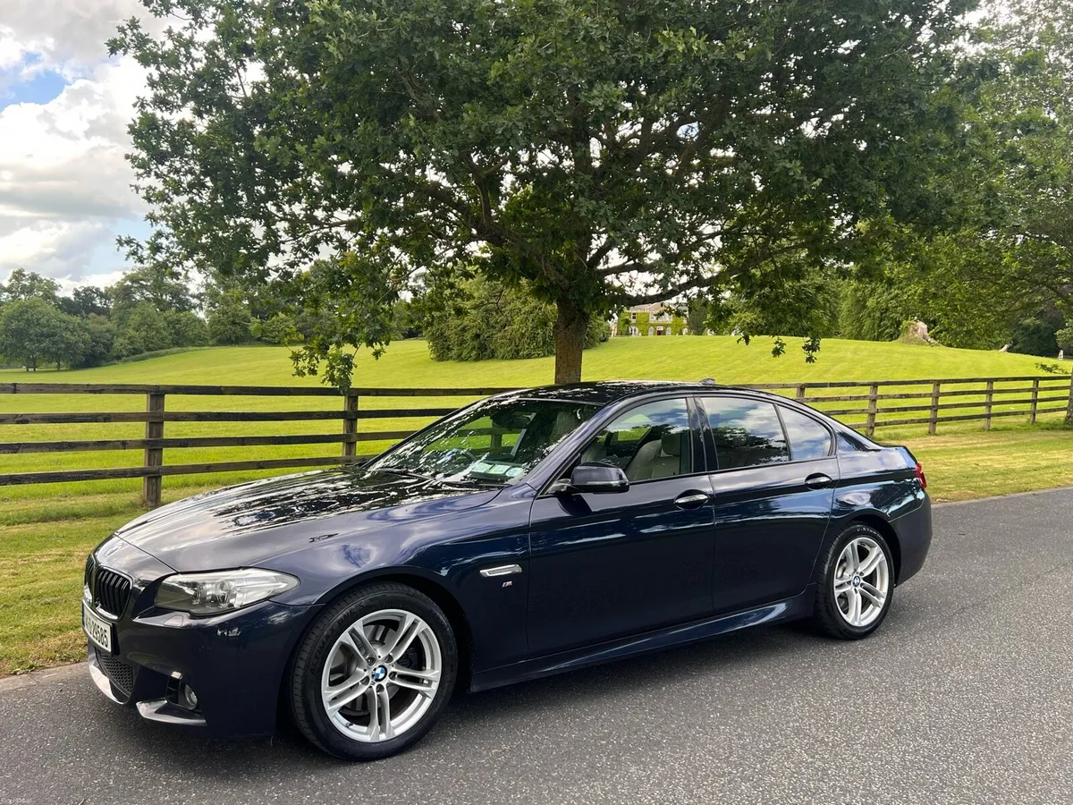 BMW 518d M-Sport - Image 4