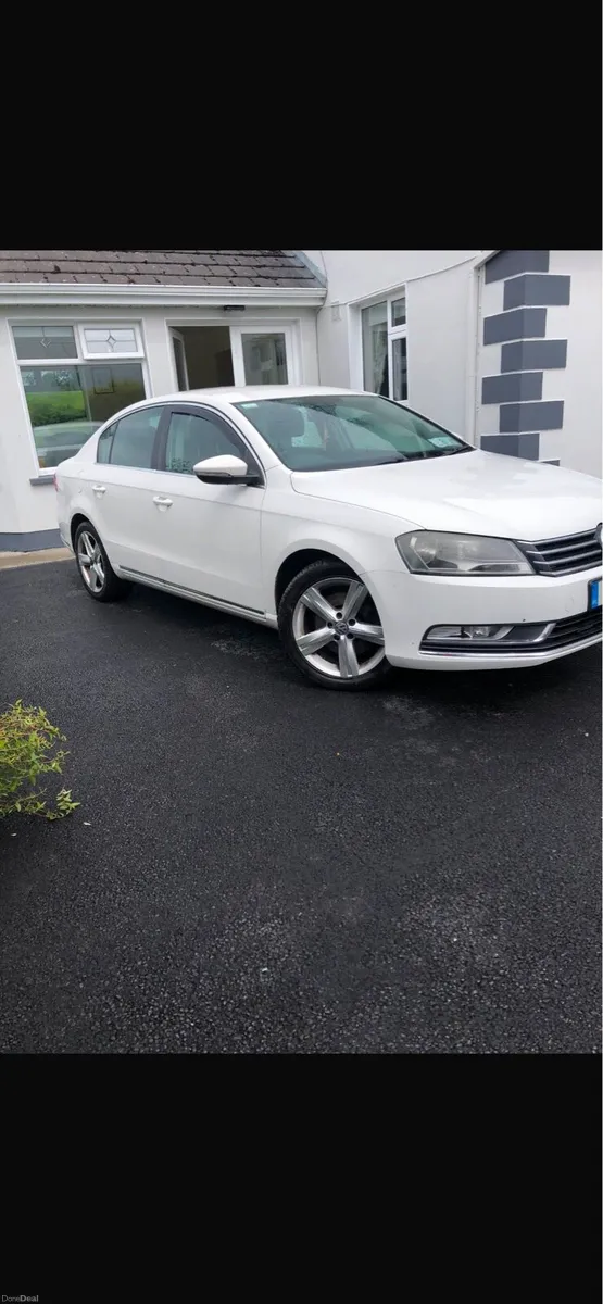 Passat - Image 2