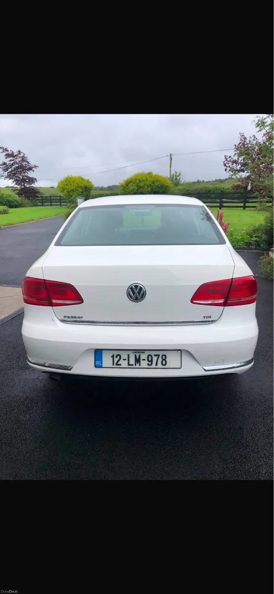 Passat - Image 4