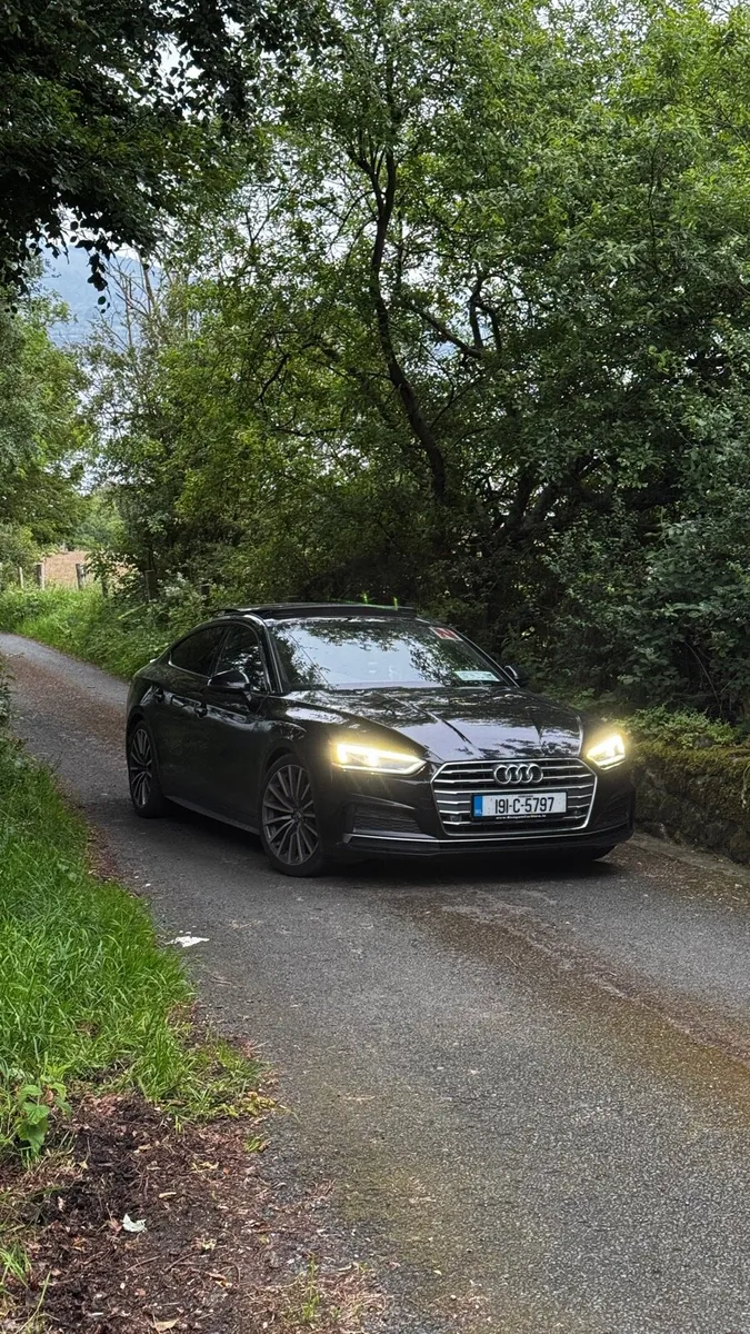Audi A5 S-Line 35TDI - Image 1
