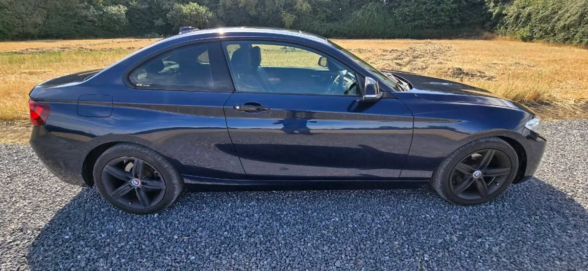 2016 BMW 218i Coupe 1.5l. Automatic - Image 1