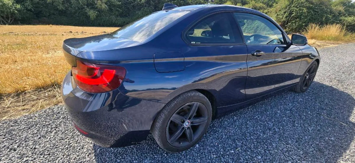 2016 BMW 218i Coupe 1.5l. Automatic - Image 3