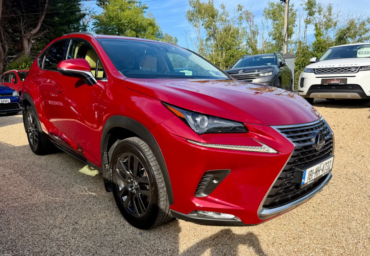 2018 Lexus NX300 Luxury 4WD - Image 4