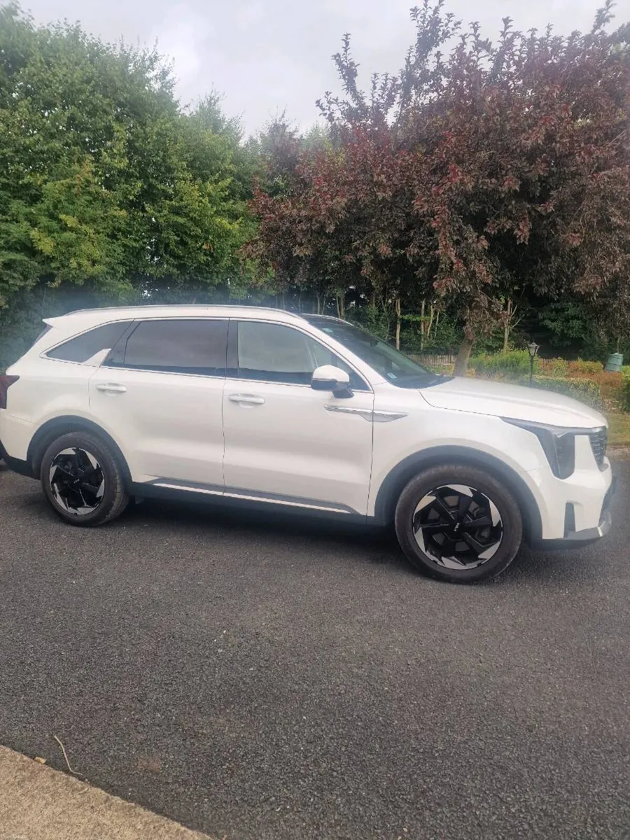 2024 Kia Sorento PE Facelift 2.2D Auto 7 Seat - Image 3