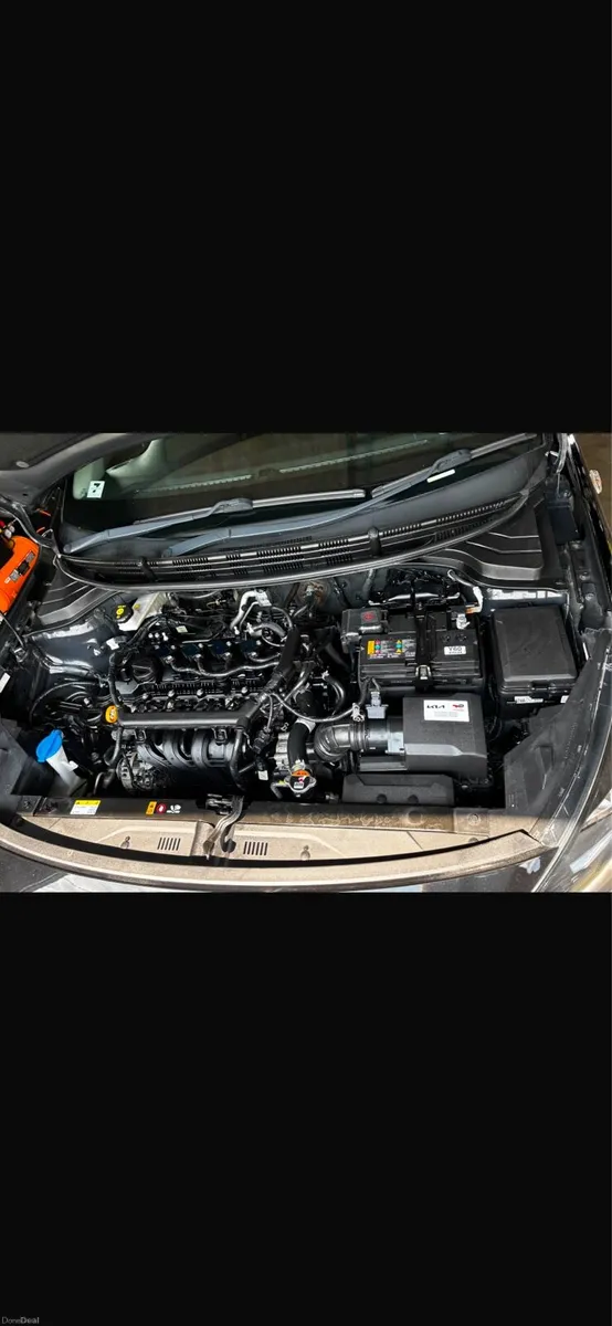 Kia Rio 1.2 petrol 2023 - Image 4