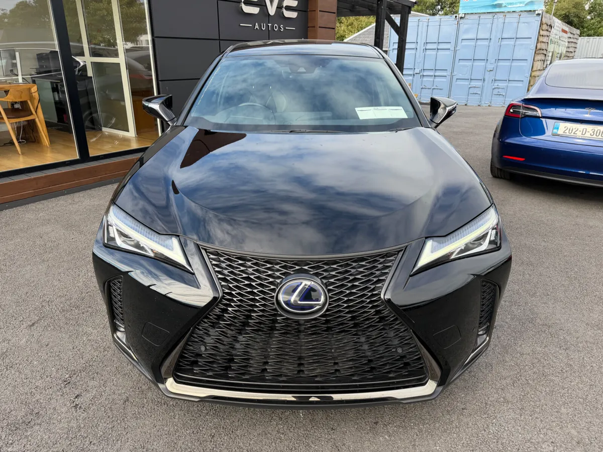 UX250h hybrid - F Sport - Fully Loaded - Image 4