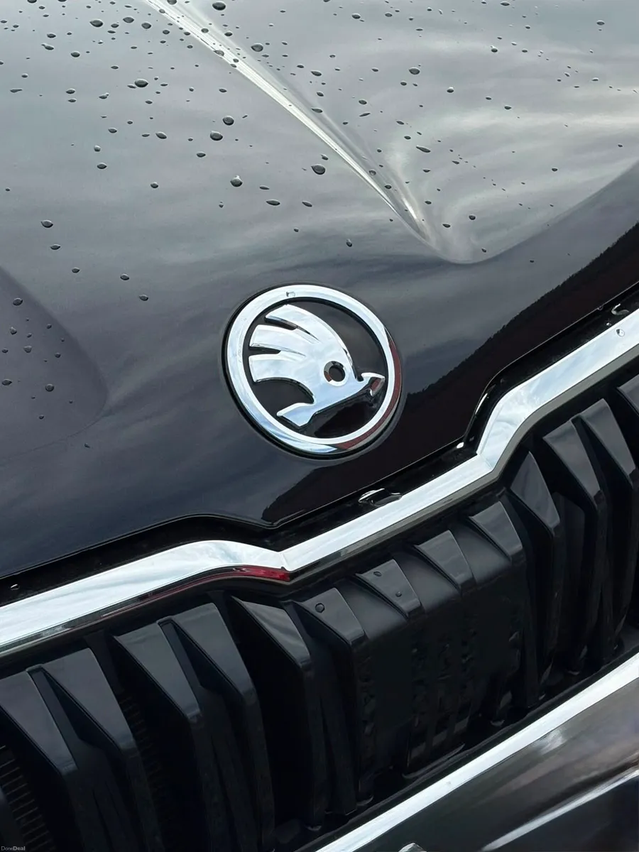 2023 Skoda Karoq 1.0 tsi sel edition - Image 6