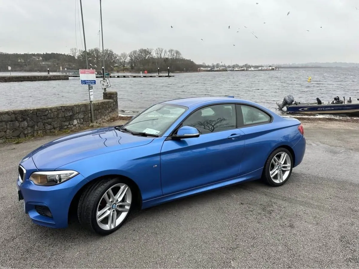 BMW 220i 300HP - Image 3