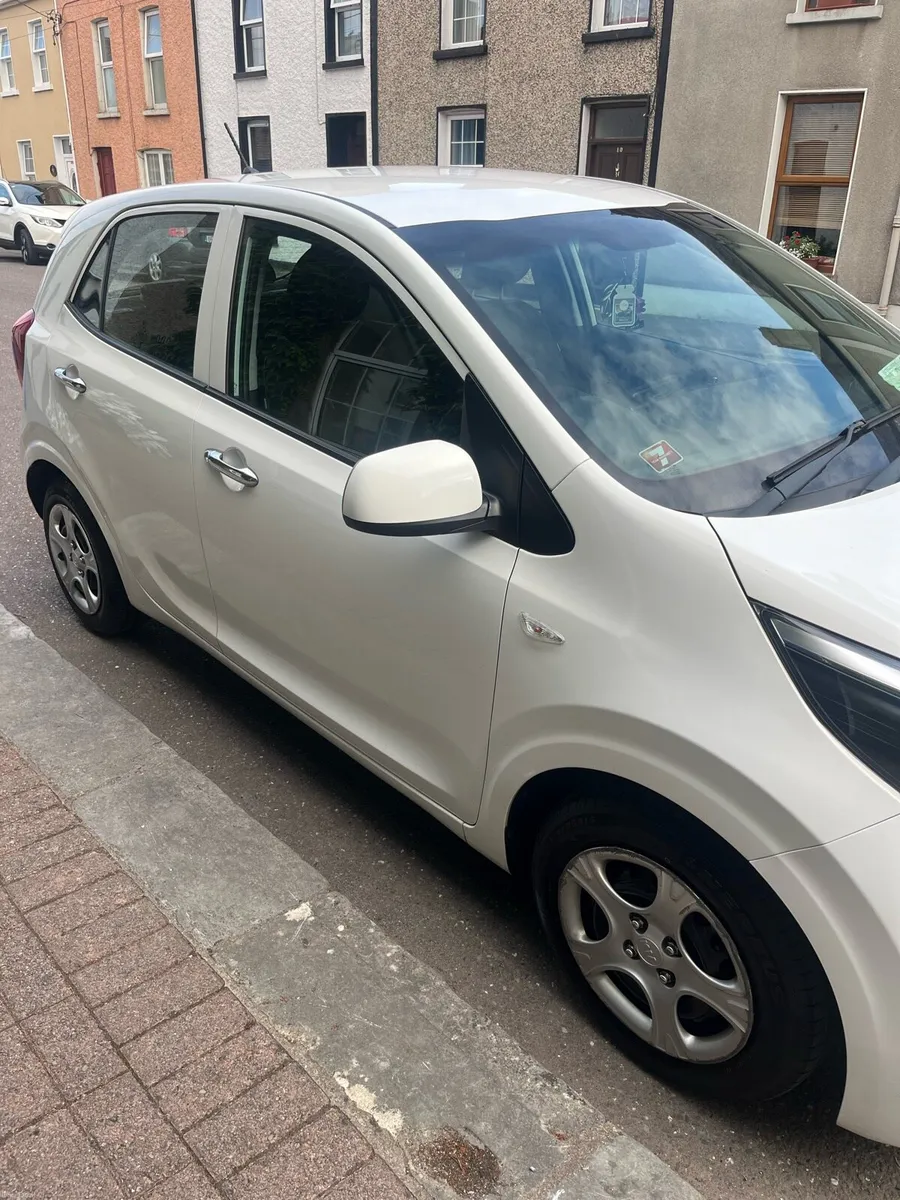 2019 Kia Picanto 1.2 Automatic-Excellent Condition - Image 3