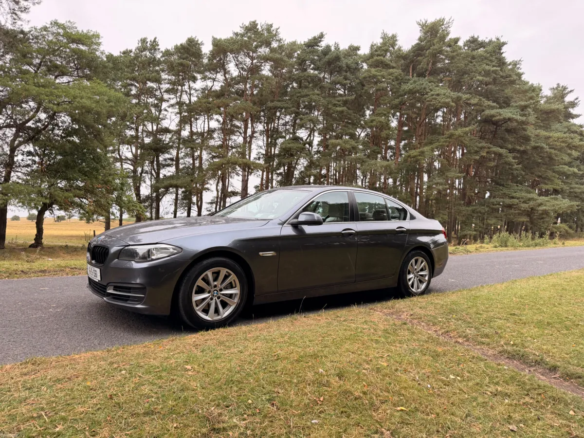 BMW 5-Series 2016 Diesel Automatic - Image 3