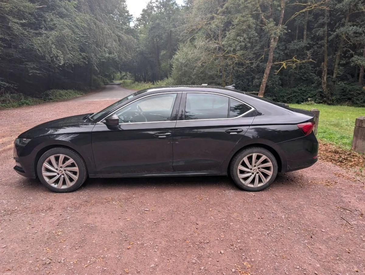 2023 Skoda Octavia 30 Years Edition | 2.0 TDI 115H - Image 2