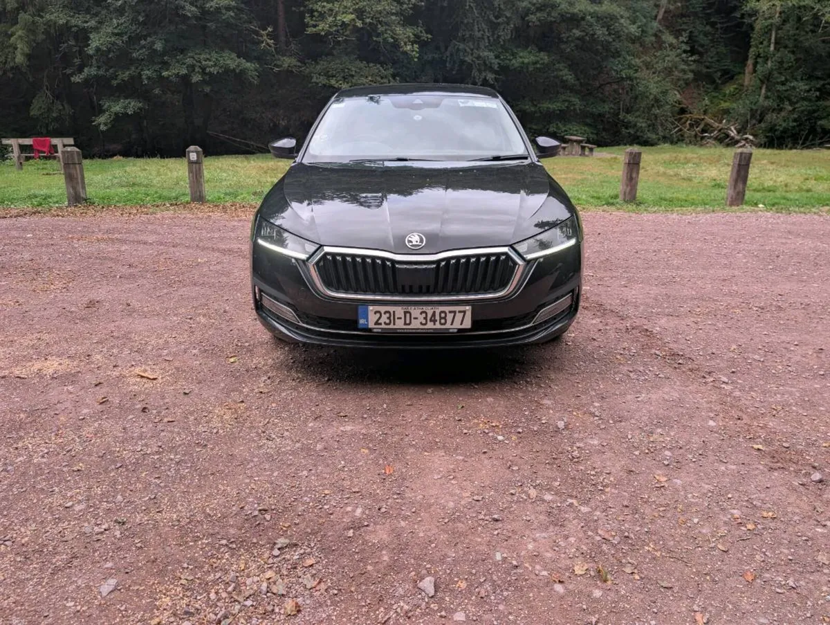 2023 Skoda Octavia 30 Years Edition | 2.0 TDI 115H - Image 5