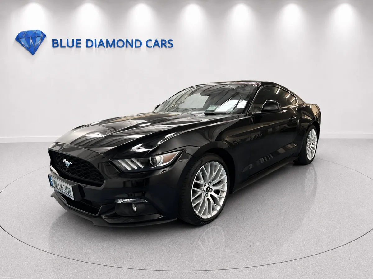 2.3 ECOBOOST FASTBACK 310BHP MANUAL - Image 3