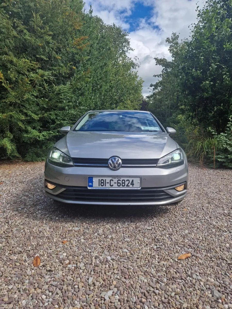 Volkswagen Golf Van TL 1.6 TDI - Image 1