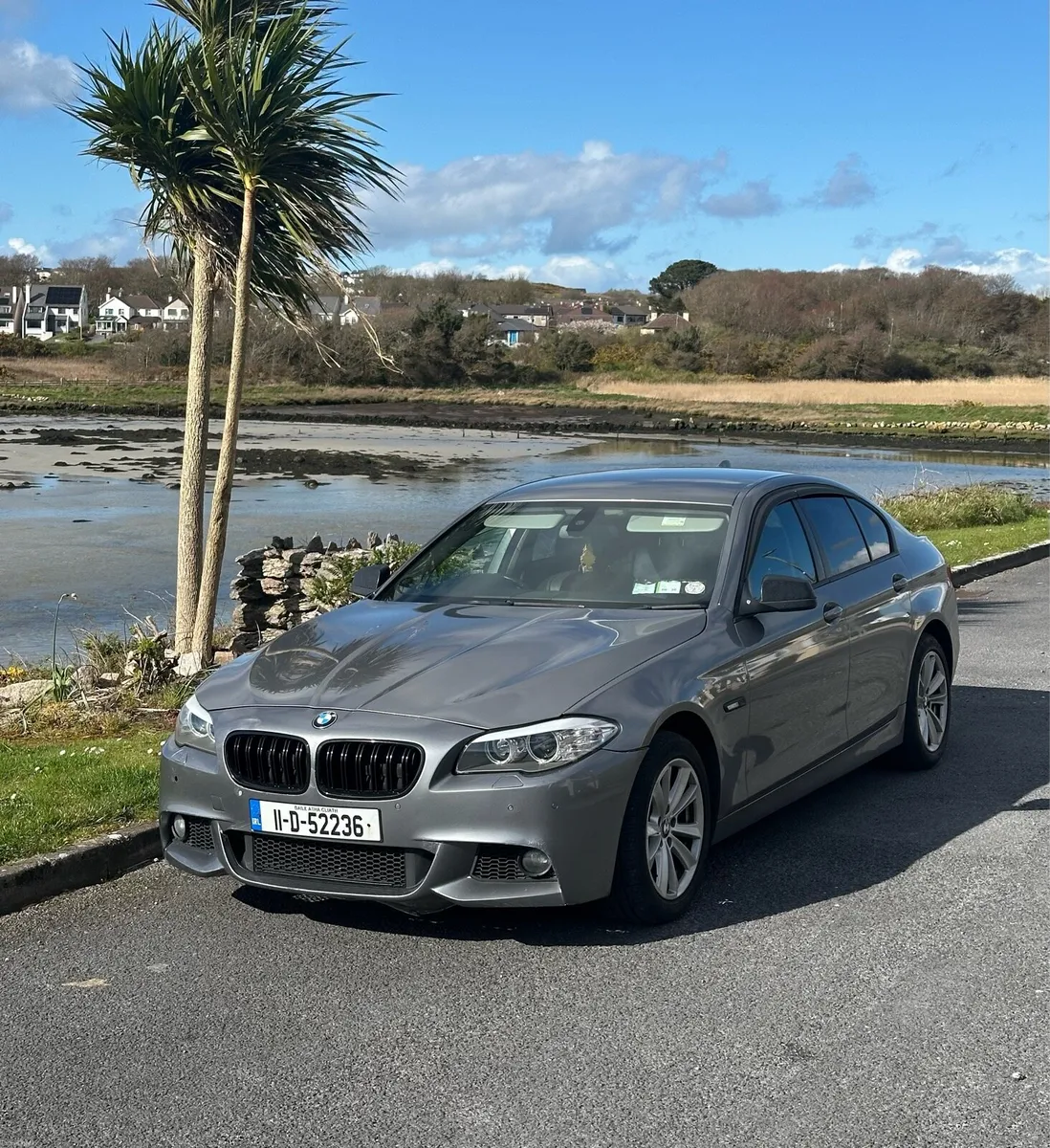 BMW 520D SE M-Sport - Image 1