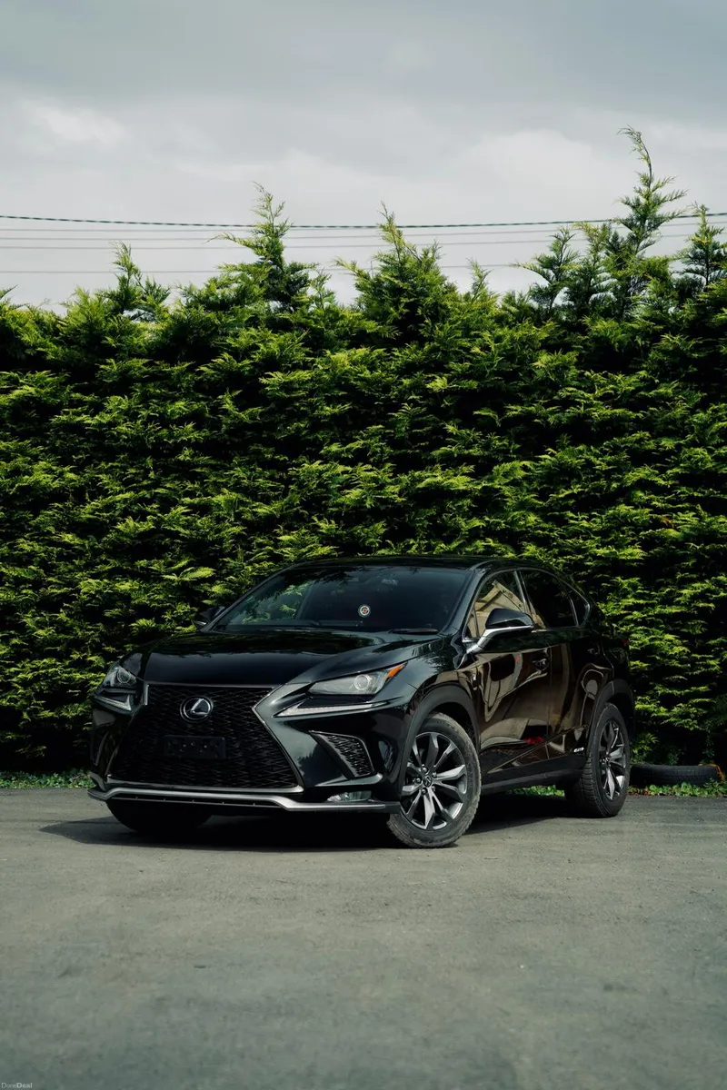 Lexus NX300H F Sport-Full History - Image 1