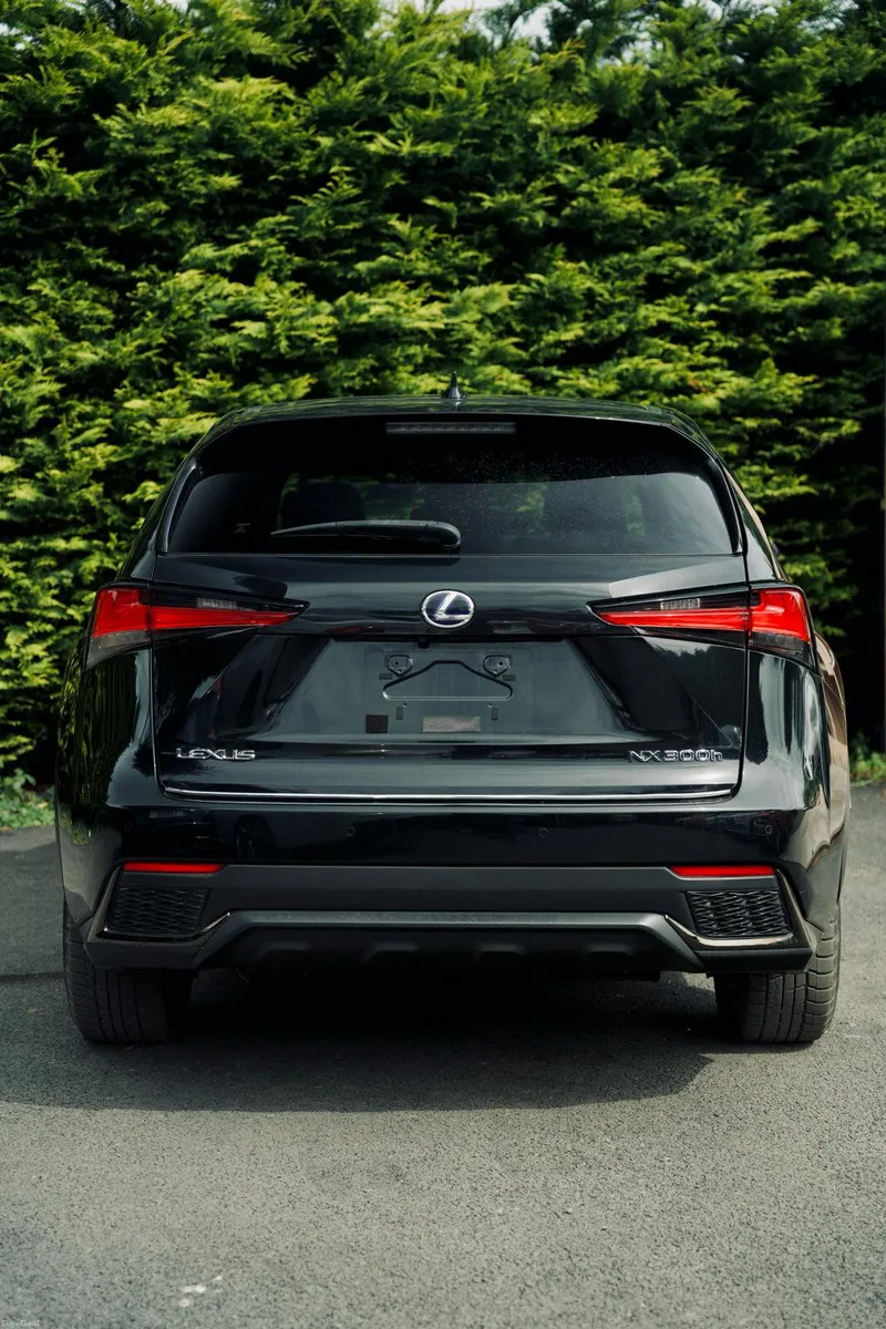 Lexus NX300H F Sport-Full History - Image 4