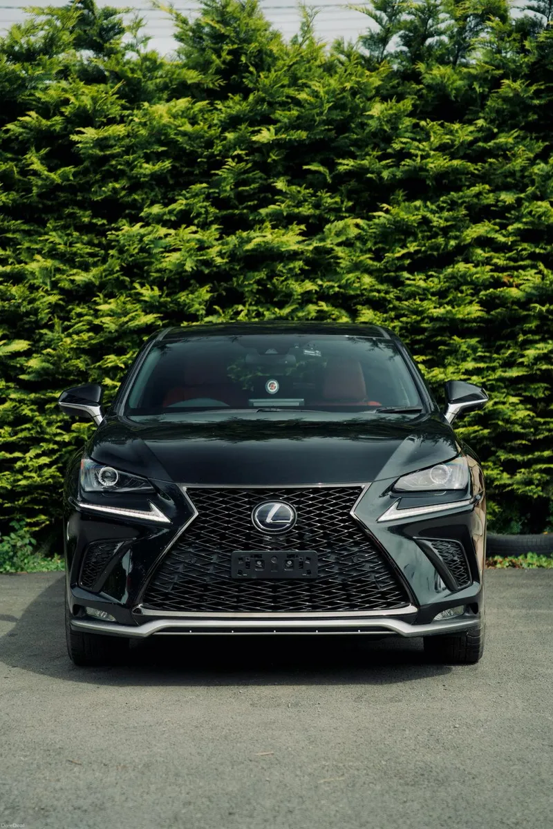 Lexus NX300H F Sport-Full History - Image 6