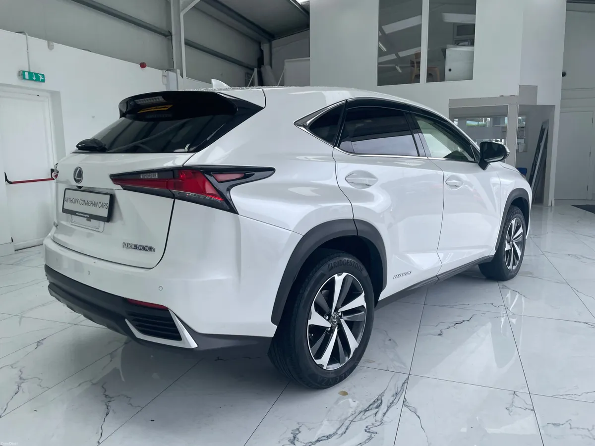 2019 Lexus NX300h - Image 4