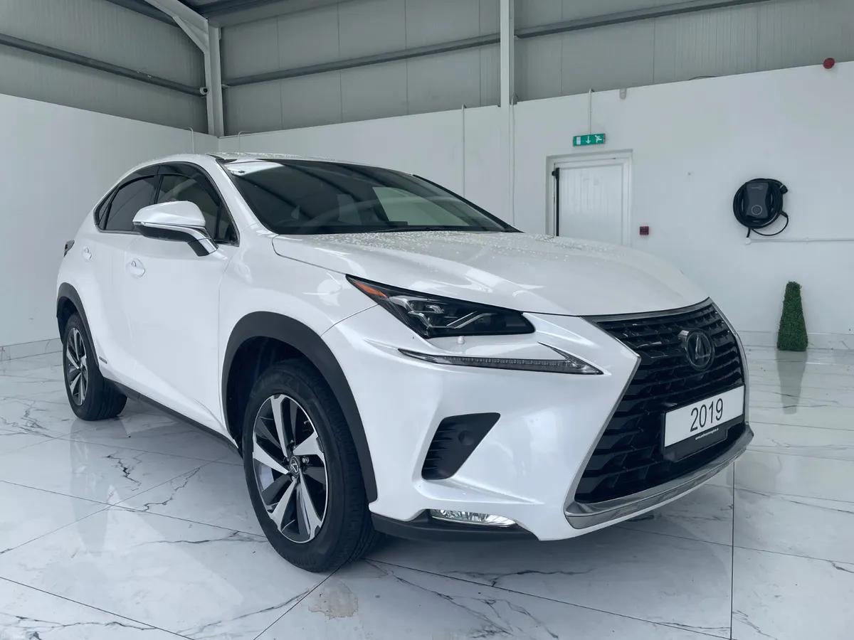 2019 Lexus NX300h - Image 1