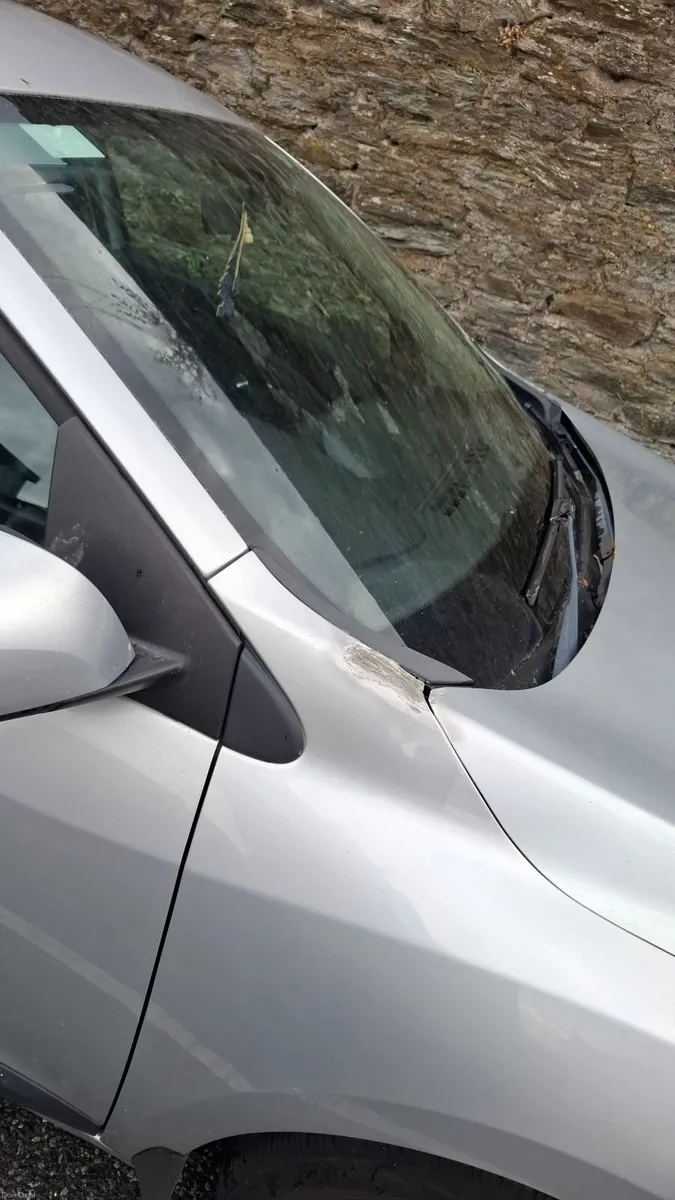 Renault Megane 2010 - Image 2