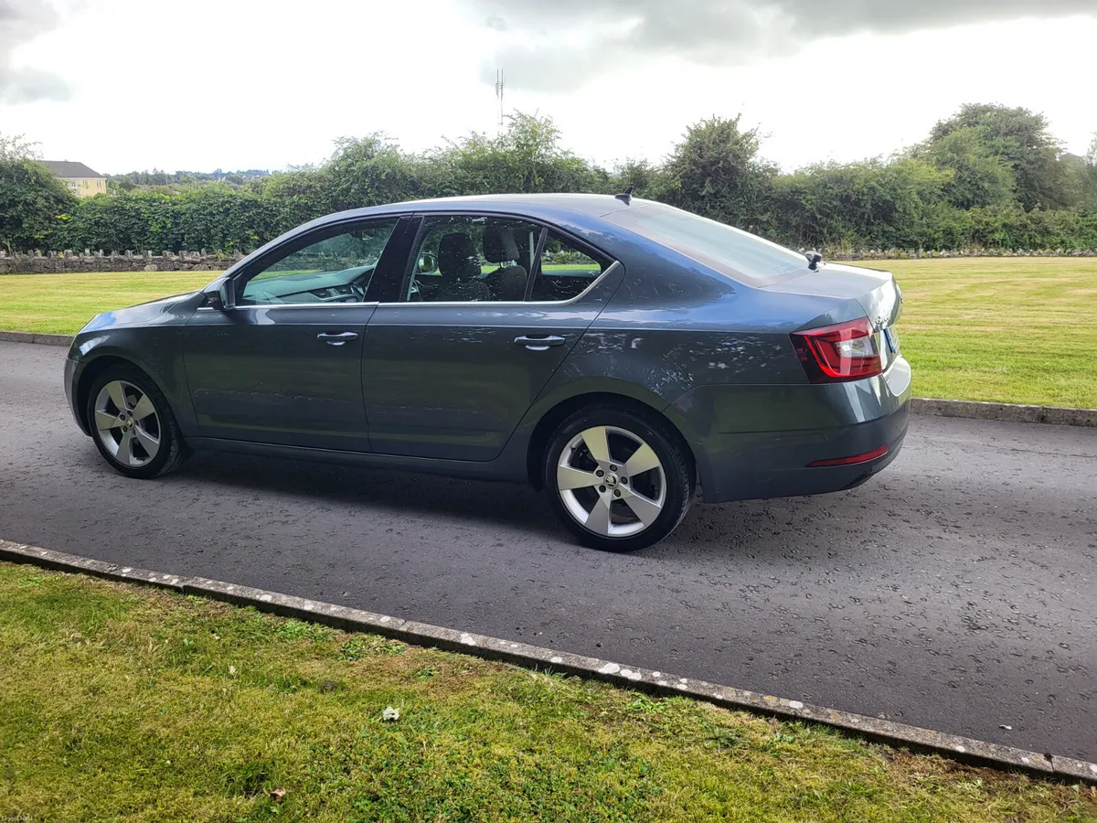 Skoda Octavia Automatic  petrol   New  NCT - Image 4