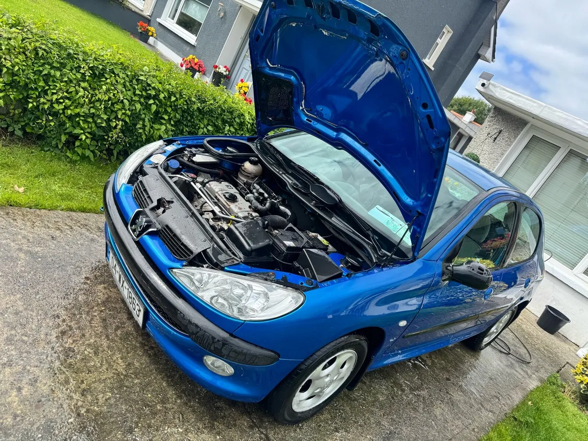 04 Bleu Recife Peugeot 206 Classic - Image 2
