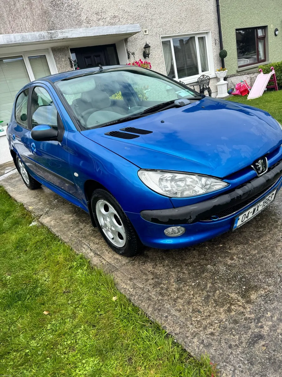 04 Bleu Recife Peugeot 206 Classic - Image 6