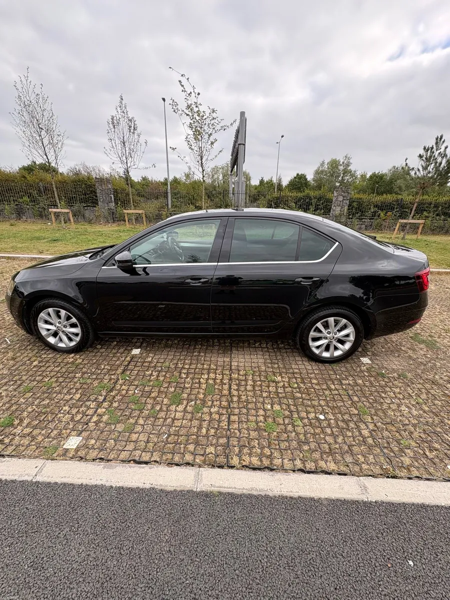 2019 Skoda Octavia DSG Auto | Low KM | NCT 2027 - Image 3