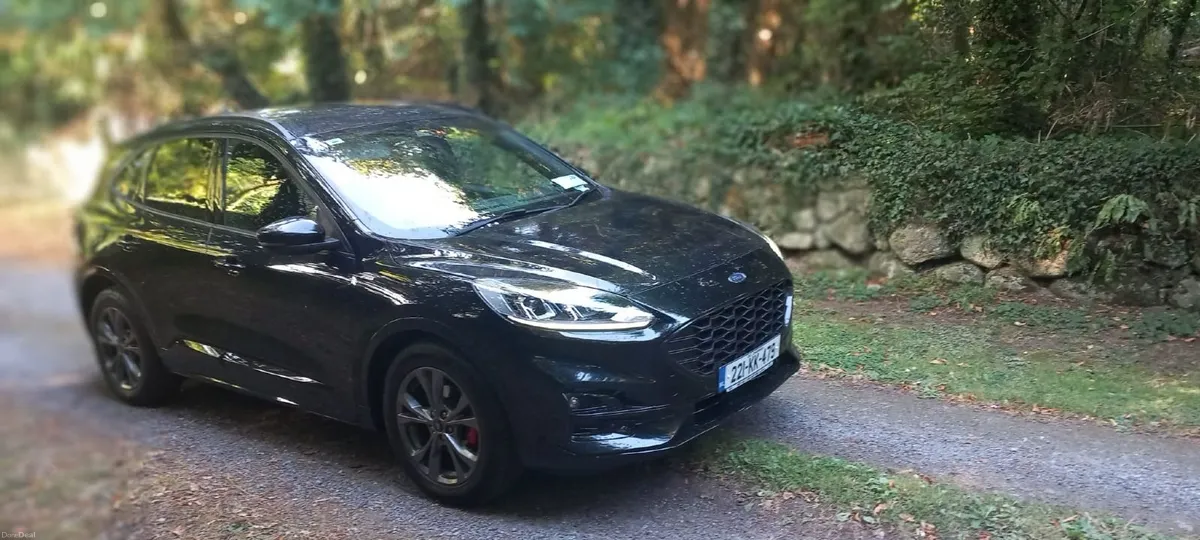 Ford Kuga 2022 - Image 2